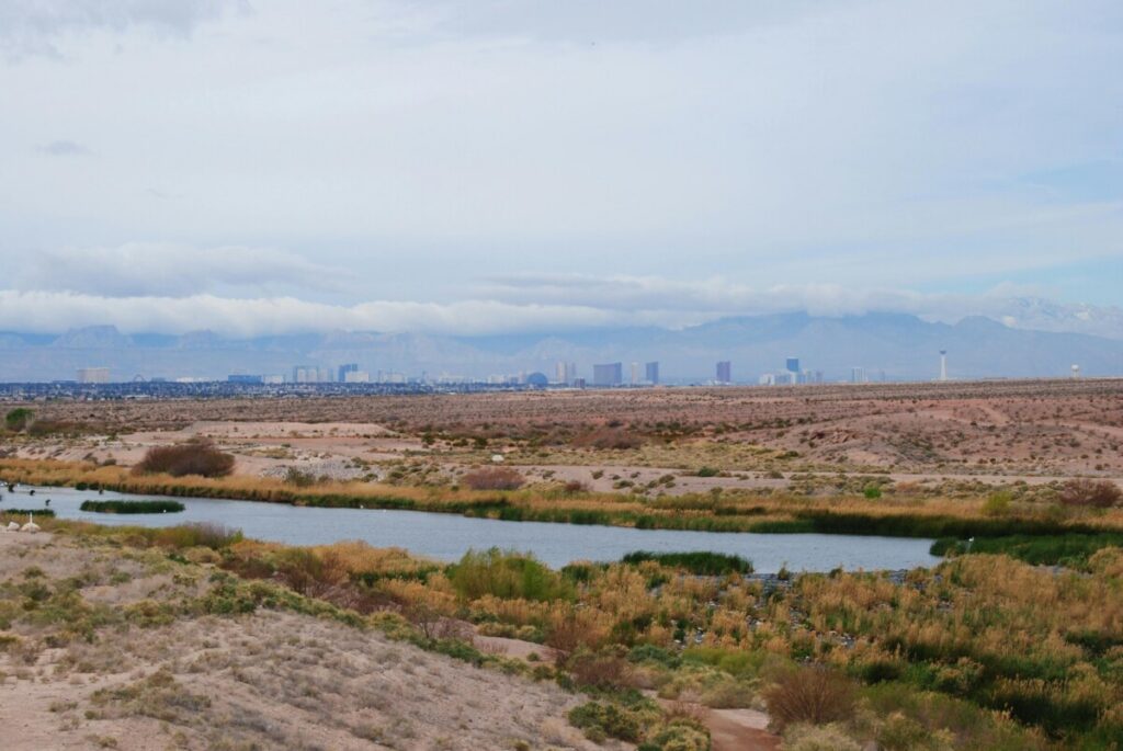 Las Vegas City View